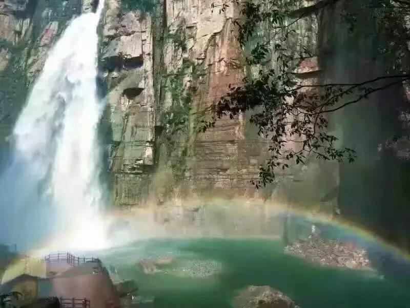 逗小猴开心系列202
