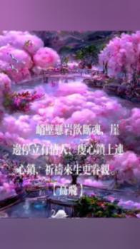 午夜的猎人